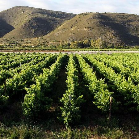 麦格雷戈Tanagra Wine & Guestfarm公寓 外观 照片