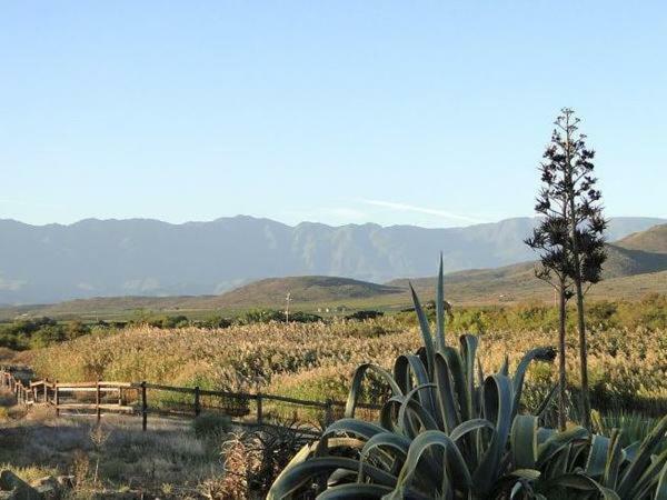 麦格雷戈Tanagra Wine & Guestfarm公寓 外观 照片