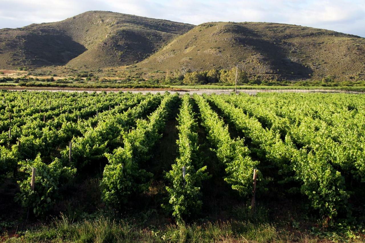 麦格雷戈Tanagra Wine & Guestfarm公寓 外观 照片